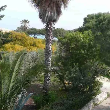 Apartamento Matilde- Kleine Mit Meerblick By Interhome